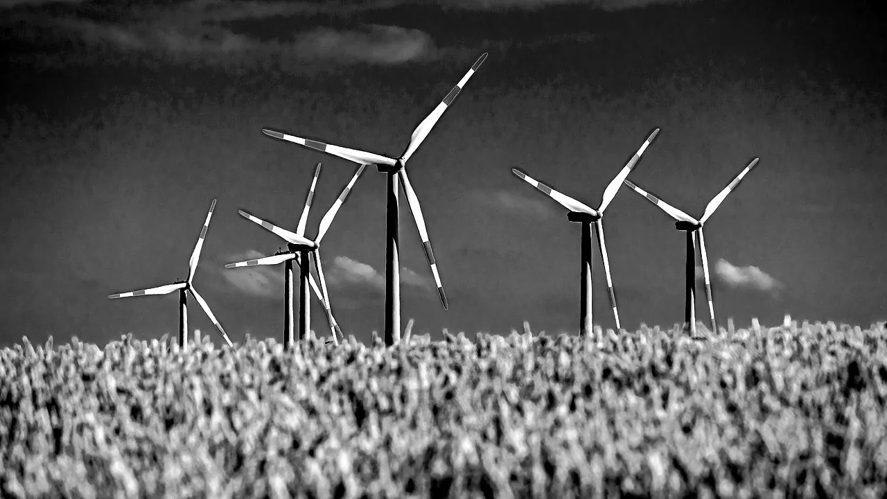 Éoliennes alignées au-dessus d'un champ de céréales